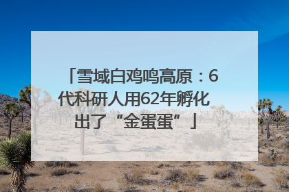 雪域白鸡鸣高原：6代科研人用62年孵化出了“金蛋蛋”