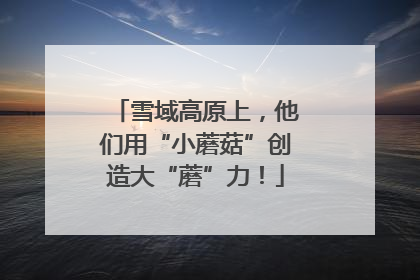 雪域高原上，他们用“小蘑菇”创造大“蘑”力！