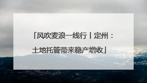 风吹麦浪一线行丨定州：土地托管带来稳产增收