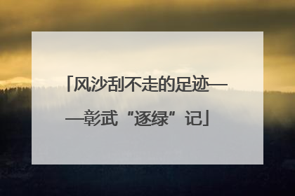 风沙刮不走的足迹——彰武“逐绿”记