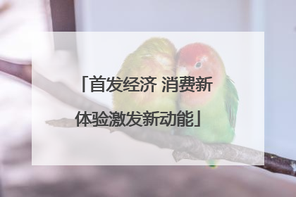 首发经济 消费新体验激发新动能