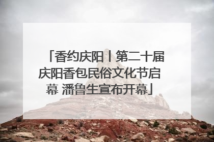 香约庆阳丨第二十届庆阳香包民俗文化节启幕 潘鲁生宣布开幕