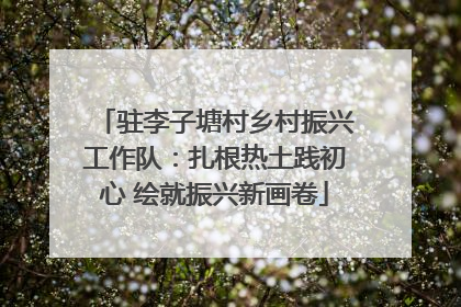 驻李子塘村乡村振兴工作队：扎根热土践初心 绘就振兴新画卷