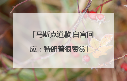 马斯克道歉 白宫回应：特朗普很赞赏
