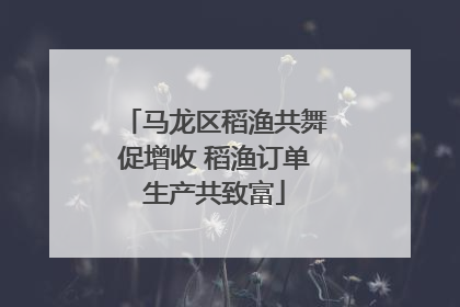 马龙区稻渔共舞促增收 稻渔订单生产共致富