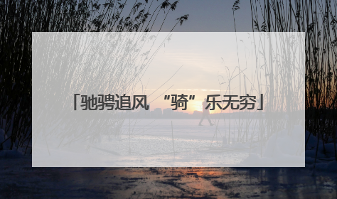 驰骋追风 “骑”乐无穷