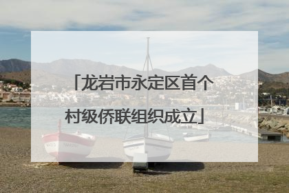 龙岩市永定区首个村级侨联组织成立