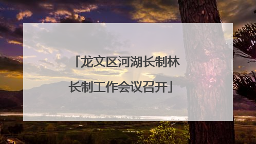 龙文区河湖长制林长制工作会议召开