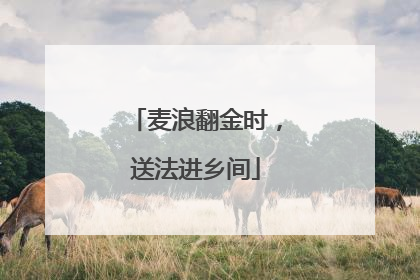 麦浪翻金时，送法进乡间