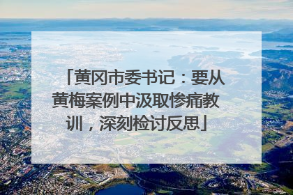 黄冈市委书记：要从黄梅案例中汲取惨痛教训，深刻检讨反思
