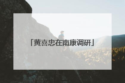黄喜忠在南康调研