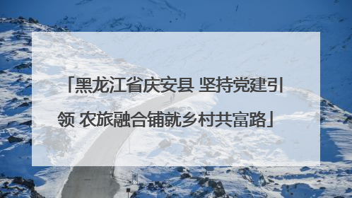 黑龙江省庆安县 坚持党建引领 农旅融合铺就乡村共富路