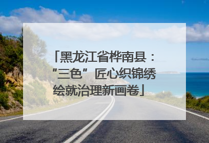 黑龙江省桦南县：“三色”匠心织锦绣 绘就治理新画卷