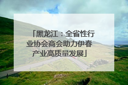 黑龙江：全省性行业协会商会助力伊春产业高质量发展