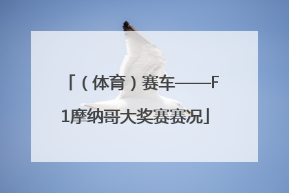 （体育）赛车——F1摩纳哥大奖赛赛况