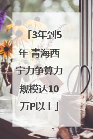 3年到5年 青海西宁力争算力规模达10万P以上
