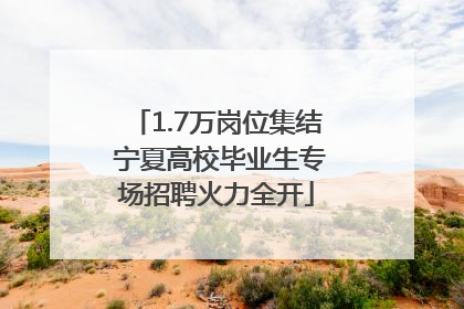 1.7万岗位集结 宁夏高校毕业生专场招聘火力全开