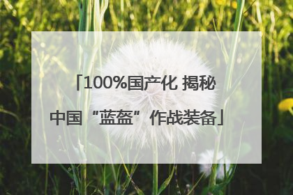 100%国产化 揭秘中国“蓝盔”作战装备