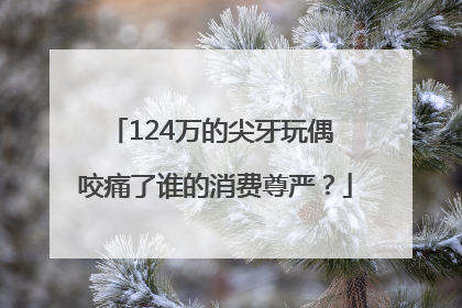 124万的尖牙玩偶 咬痛了谁的消费尊严？