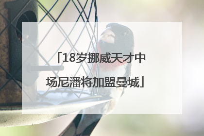 18岁挪威天才中场尼潘将加盟曼城
