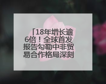 18年增长逾6倍！全球首发报告勾勒中非贸易合作格局深刻变化