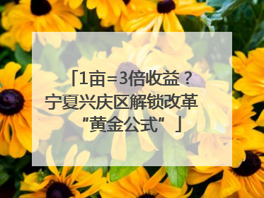 1亩=3倍收益？宁夏兴庆区解锁改革“黄金公式”
