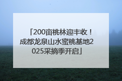 200亩桃林迎丰收！成都龙泉山水蜜桃基地2025采摘季开启