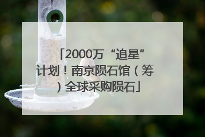 2000万“追星”计划！南京陨石馆（筹）全球采购陨石
