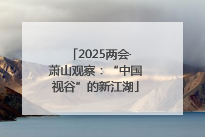 2025两会·萧山观察：“中国视谷”的新江湖