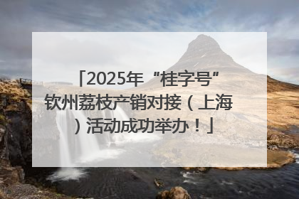 2025年“桂字号”钦州荔枝产销对接（上海）活动成功举办！