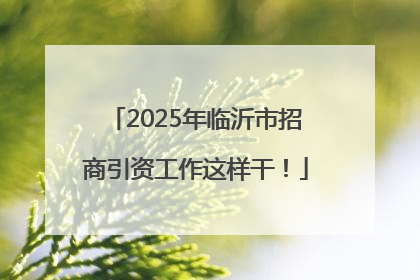 2025年临沂市招商引资工作这样干！