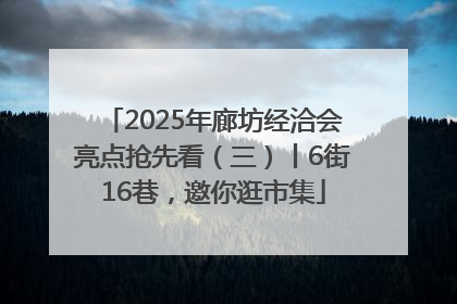 2025年廊坊经洽会亮点抢先看（三）丨6街16巷，邀你逛市集