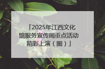 2025年江西文化馆服务宣传周重点活动精彩上演（图）