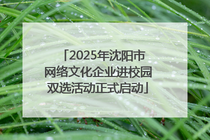 2025年沈阳市网络文化企业进校园双选活动正式启动