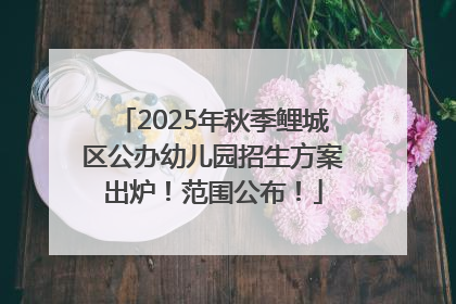 2025年秋季鲤城区公办幼儿园招生方案出炉！范围公布！