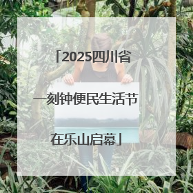2025四川省一刻钟便民生活节在乐山启幕