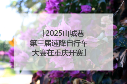 2025山城巷第三届速降自行车大赛在重庆开赛