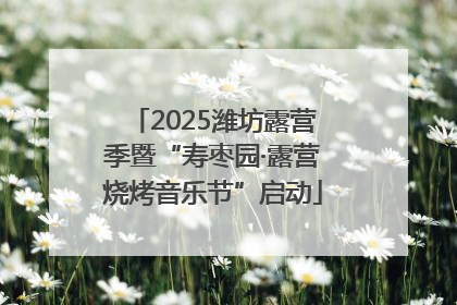 2025潍坊露营季暨“寿枣园·露营烧烤音乐节”启动