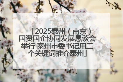 2025泰州（南京）国资国企协同发展恳谈会举行 泰州市委书记用三个关键词推介泰州