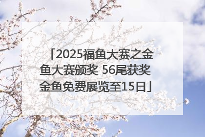 2025福鱼大赛之金鱼大赛颁奖 56尾获奖金鱼免费展览至15日