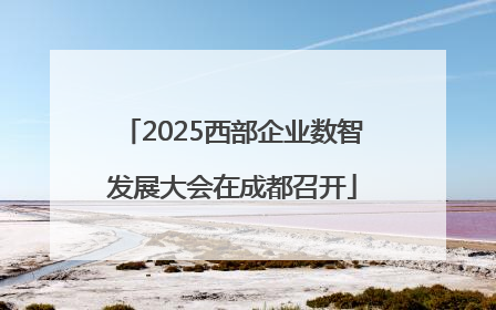 2025西部企业数智发展大会在成都召开