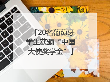20名葡萄牙学生获颁“中国大使奖学金”