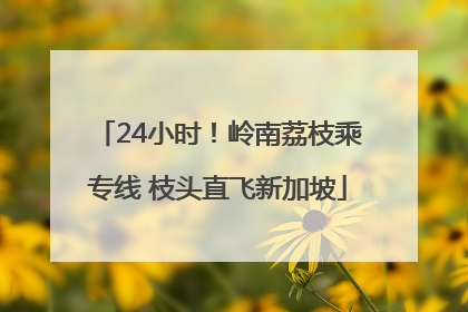 24小时！岭南荔枝乘专线 枝头直飞新加坡