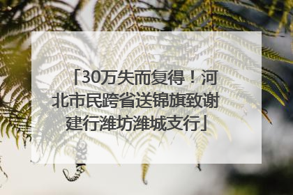 30万失而复得！河北市民跨省送锦旗致谢建行潍坊潍城支行