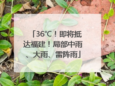 36℃！即将抵达福建！局部中雨、大雨、雷阵雨