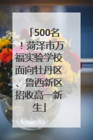 500名！菏泽市万福实验学校面向牡丹区、鲁西新区招收高一新生