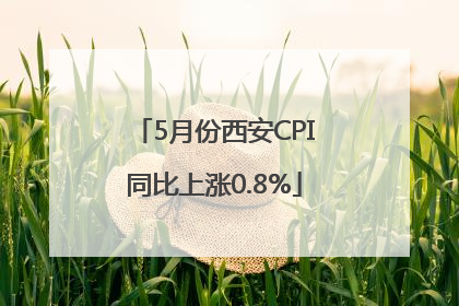 5月份西安CPI同比上涨0.8%