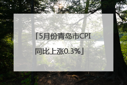 5月份青岛市CPI同比上涨0.3%