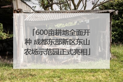 600亩耕地全面开种 成都东部新区东山农场示范园正式亮相