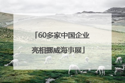 60多家中国企业亮相挪威海事展